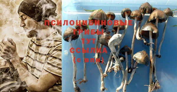 трава Алзамай