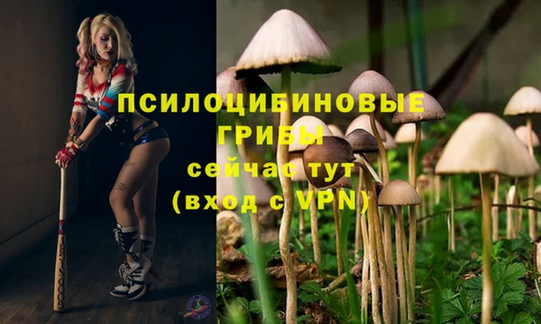 меф Алексеевка