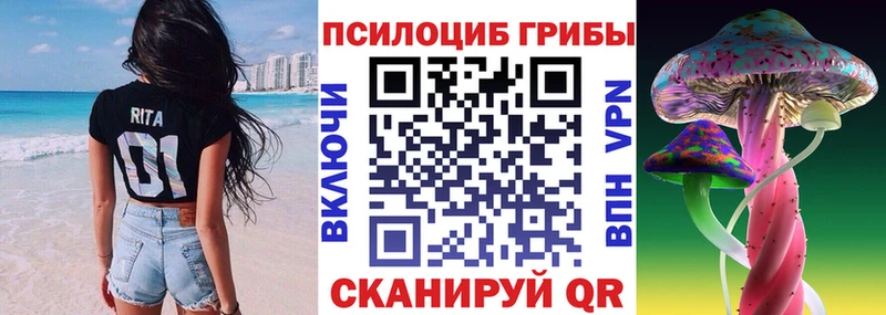 Псилоцибиновые грибы Cubensis наркотики Хвалынск